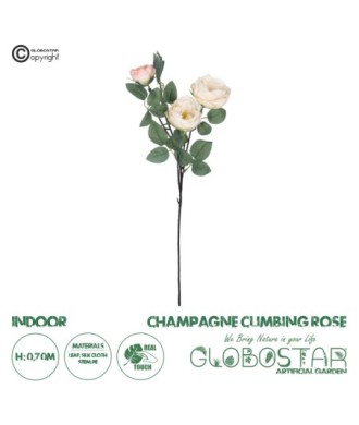 GloboStar® Artificial Garden CHAMPAGNE CLIMBING ROSE BRANCH 21183 Τεχνητό Διακοσμητικό Κλαδί Τριαντάφυλλο Σαμπανιζέ Y70cm
